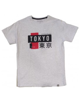 Ανδρικό T-Shirt Γκρι με σταμπα Tokyo